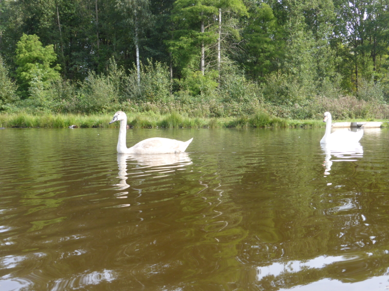 Wandeling Kiewit-Boktrijk 21 september 2021